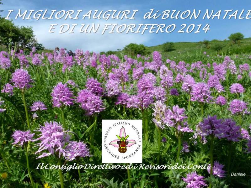 Auguri.JPG