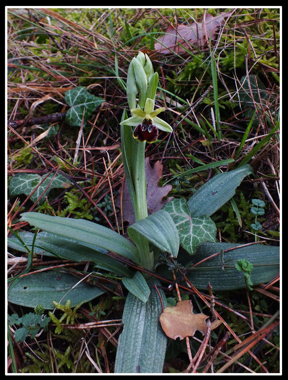 DSCF3674.jpg