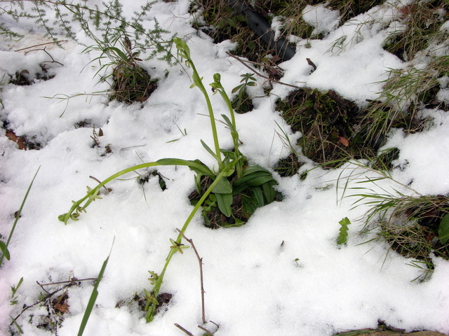 DSCN9595.JPG
