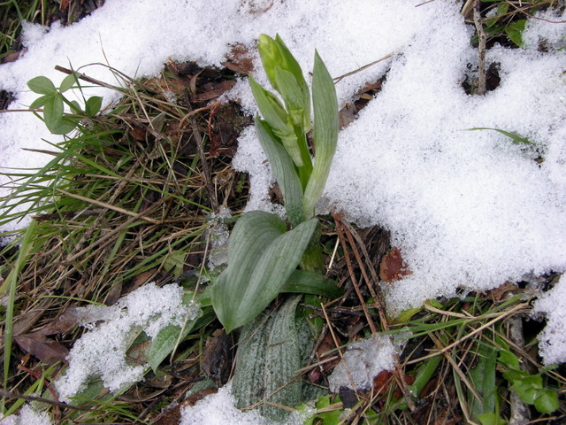 DSCN9594.JPG
