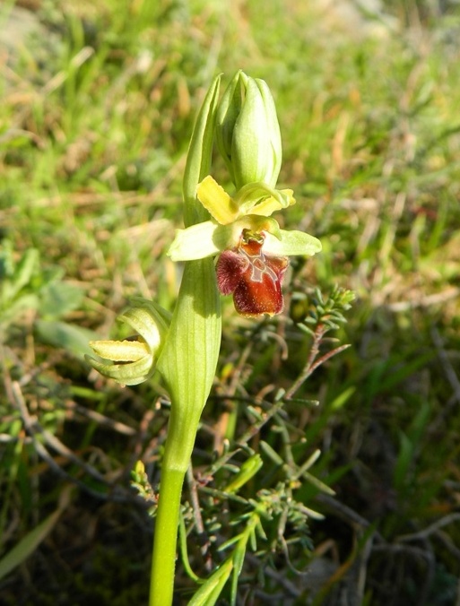 m.mllo 130314 01.jpg