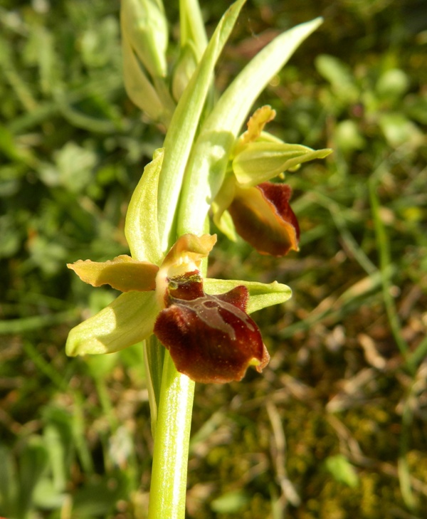 m.mllo 130314 03.jpg