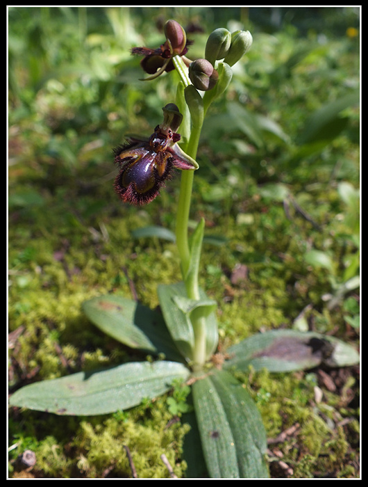 DSCF5842.jpg
