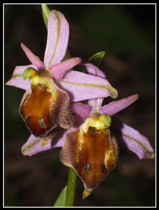 DSCF5874.jpg