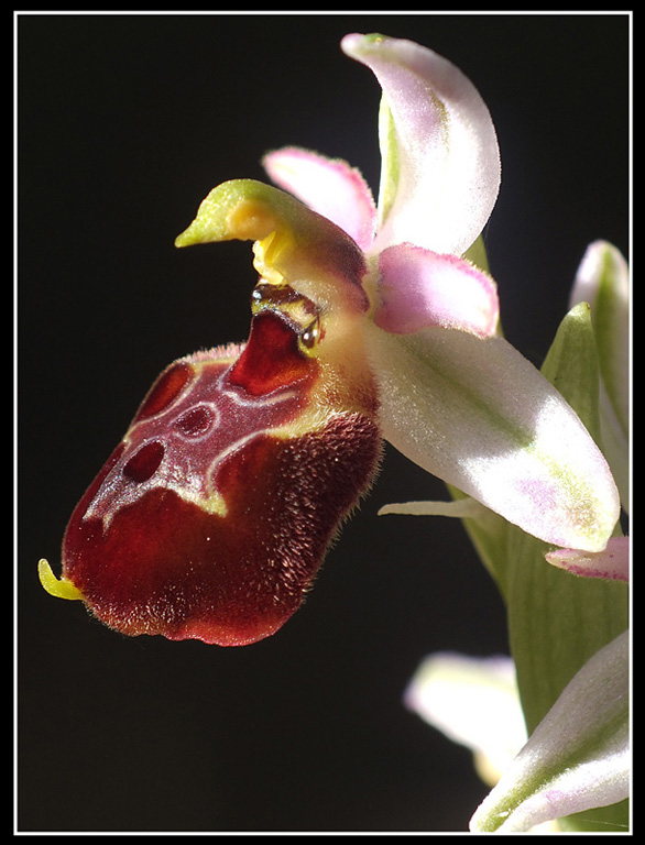DSCF5668.jpg