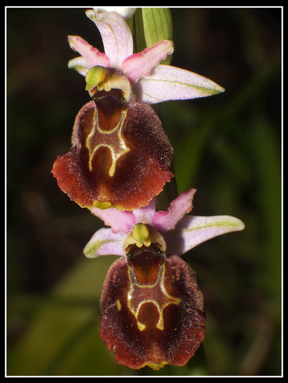DSCF6073.jpg