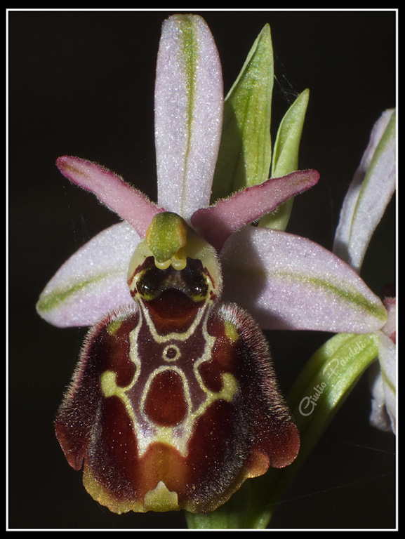 DSCF5770.jpg