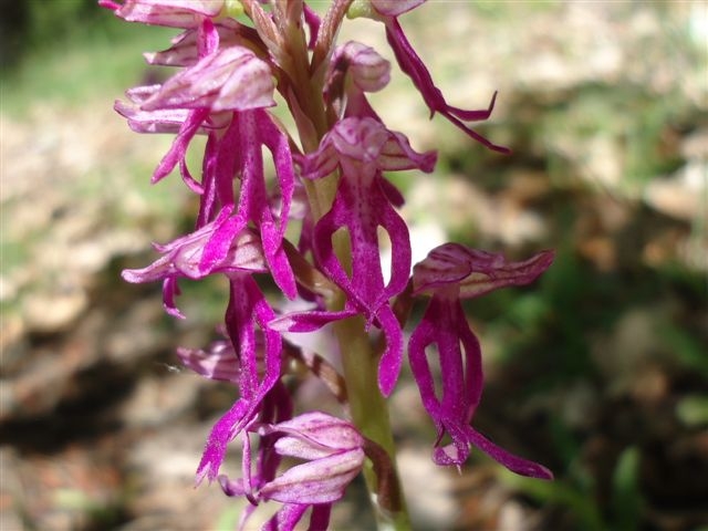 DSC02290.JPG
