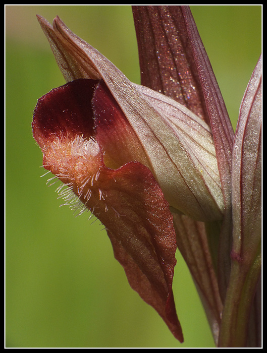 DSCF3193.jpg