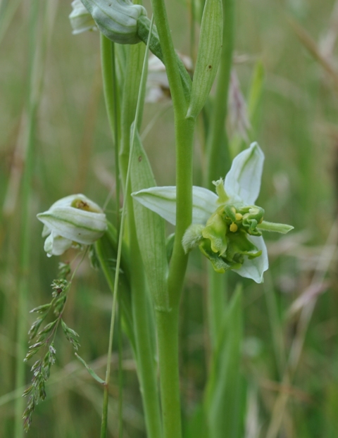canip 11 05 2014 018.jpg