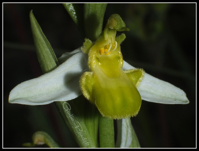 DSCF6057.jpg