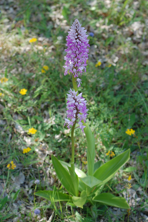 10-maggio-2011-033.jpg