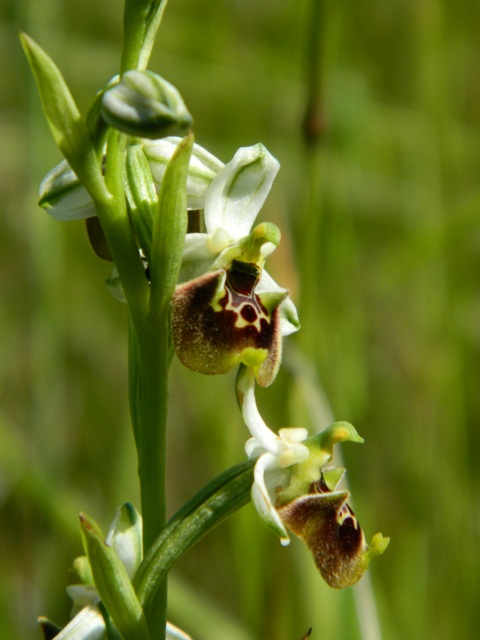DSCN1054.JPG