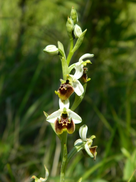 DSCN1056.JPG