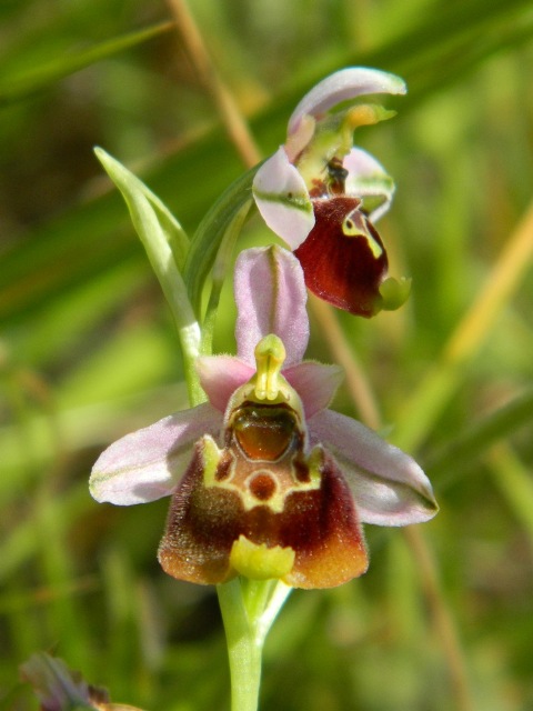 DSCN1059.JPG