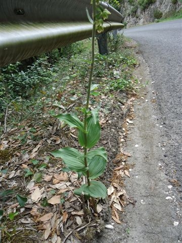 DSC02348.JPG