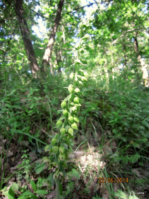 1-IMG_7338.JPG