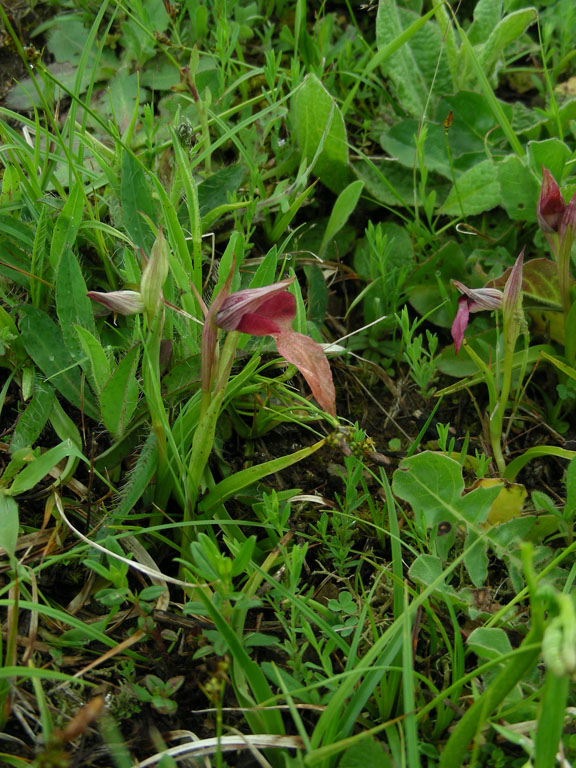 1 Deiva Marina 10052010.jpg