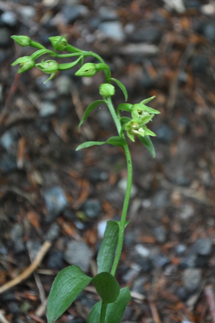20 07 14 004.jpg