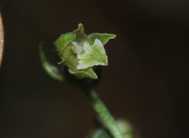 20 07 14 035rid.jpg
