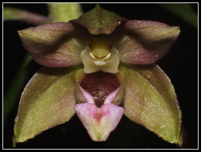 DSCF6879.jpg