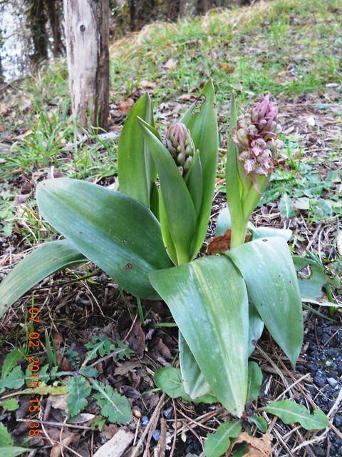 DSCN0015.JPG