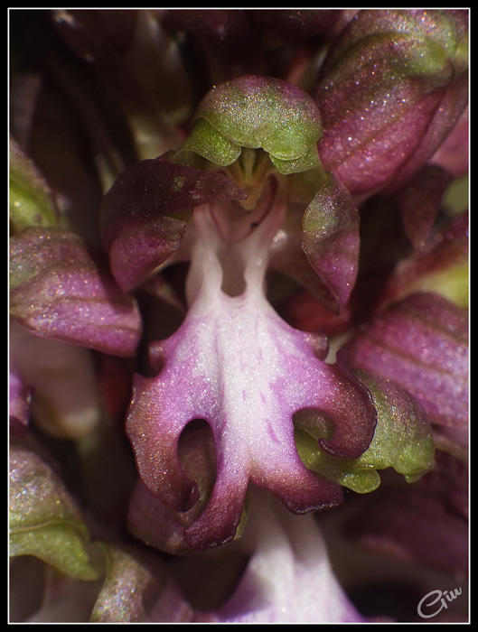 DSCF2916.jpg