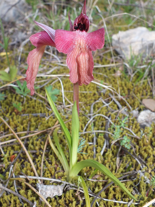 DSCF2256.jpg