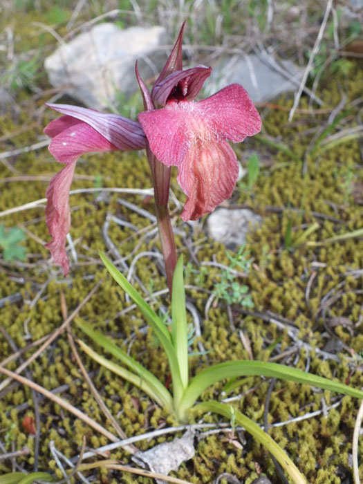 DSCF2258.jpg