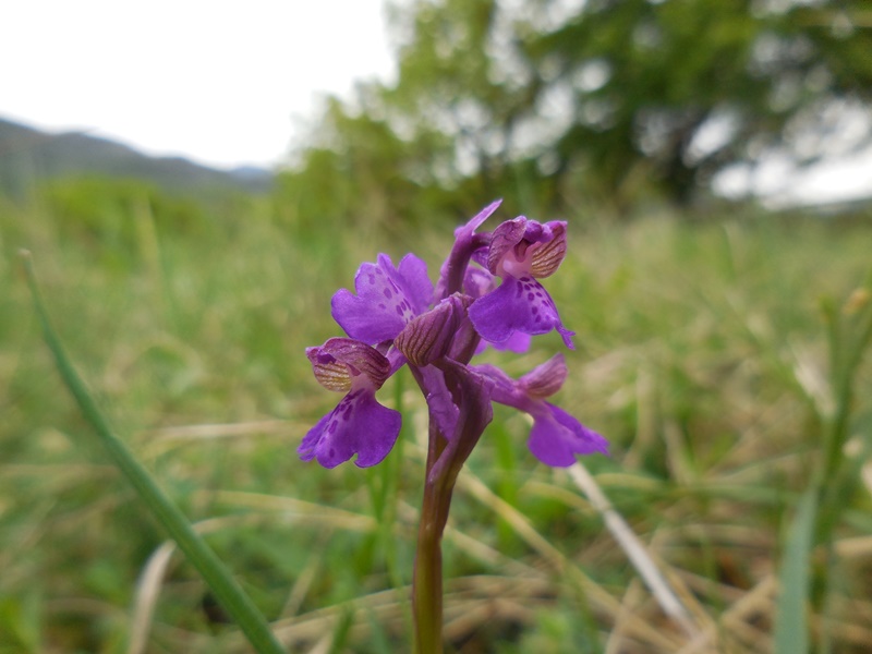 DSCN3372.JPG