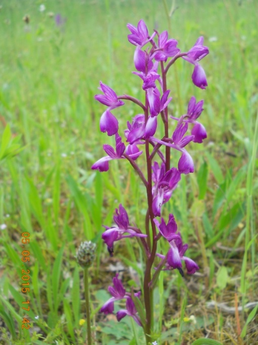 DSCN0378.JPG