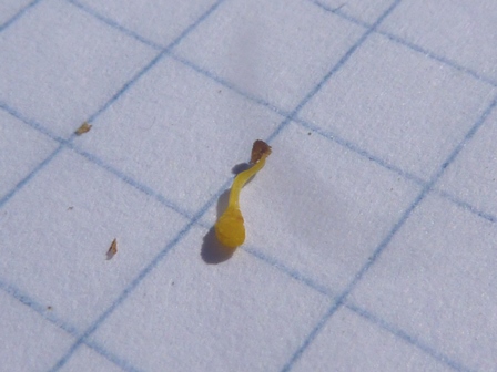 P1130231.JPG