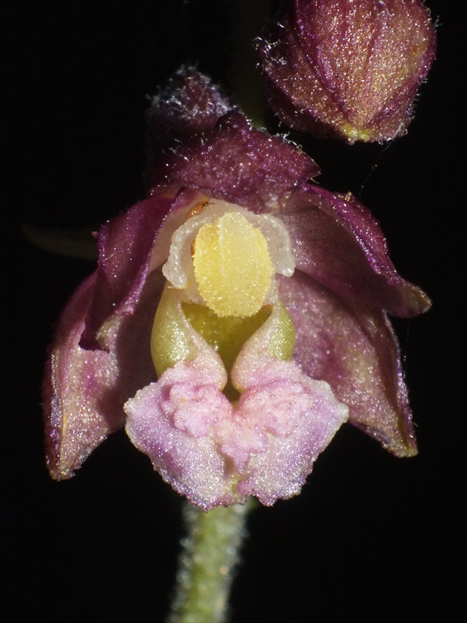 DSCF0134.jpg