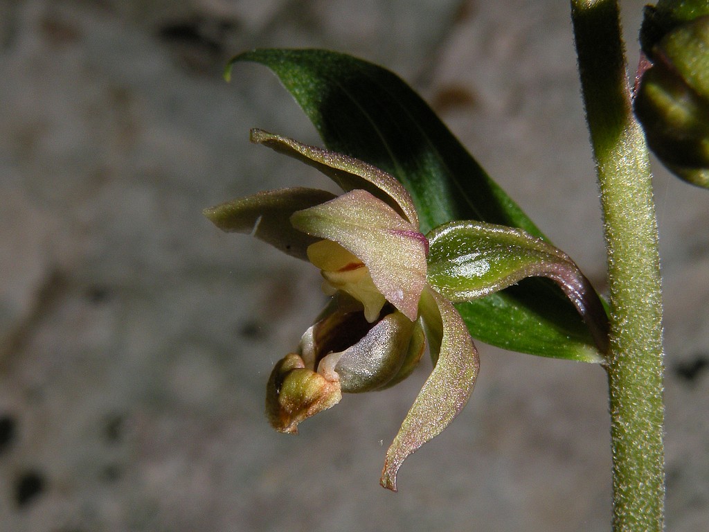 DSCN9920.jpg