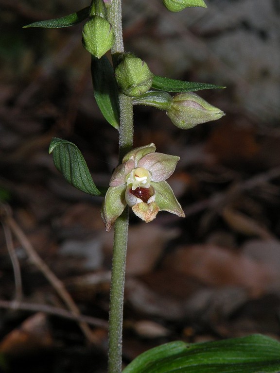 DSCN9936.jpg