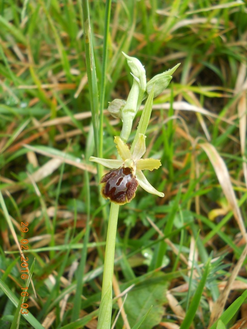 canip 290216 2.JPG