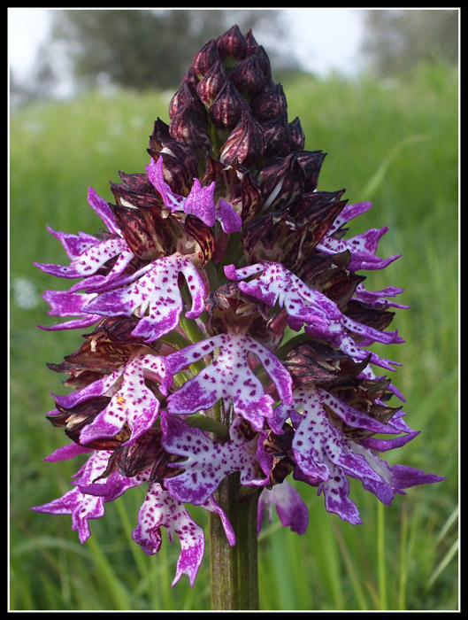 DSCF5209.jpg