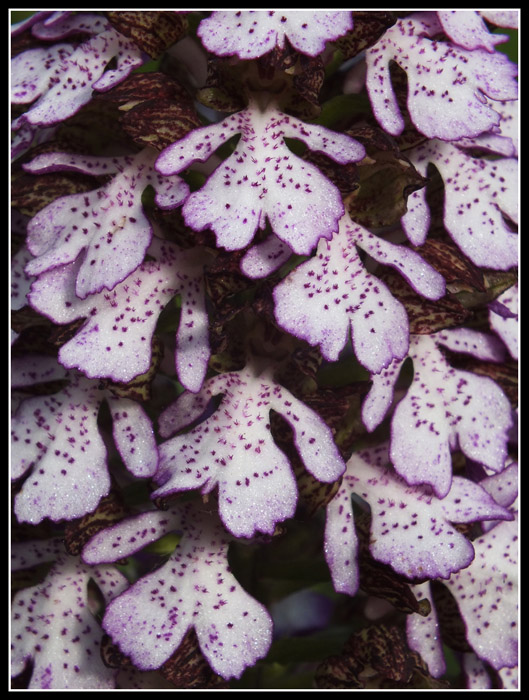 DSCF5174.jpg
