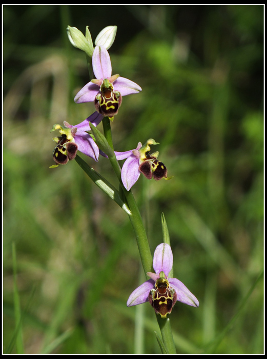 DSCF1548.jpg