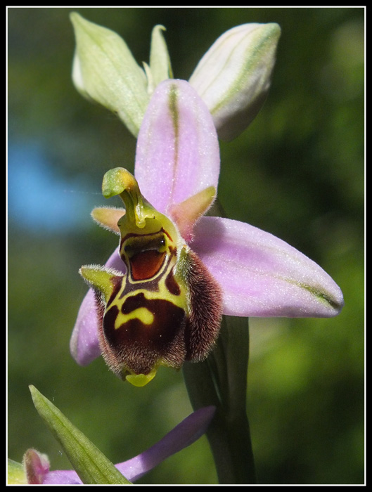 DSCF1588.jpg