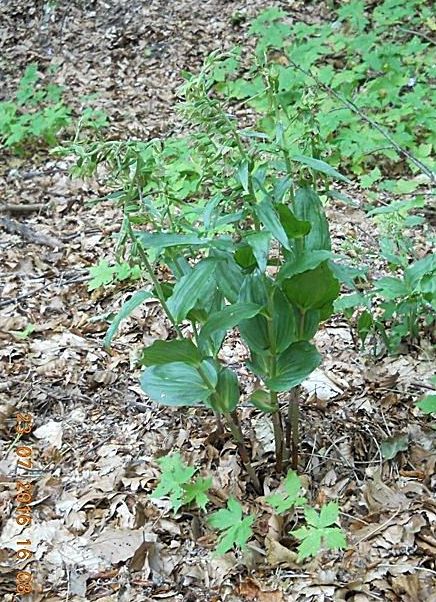 DSCN1708.JPG