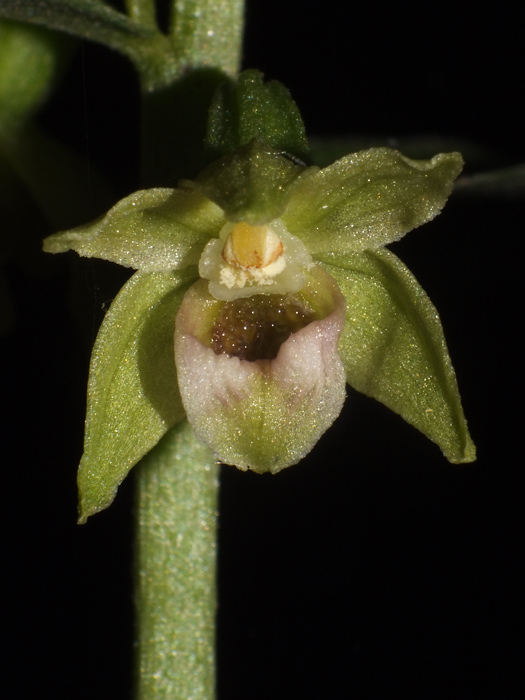 DSCF4708.jpg