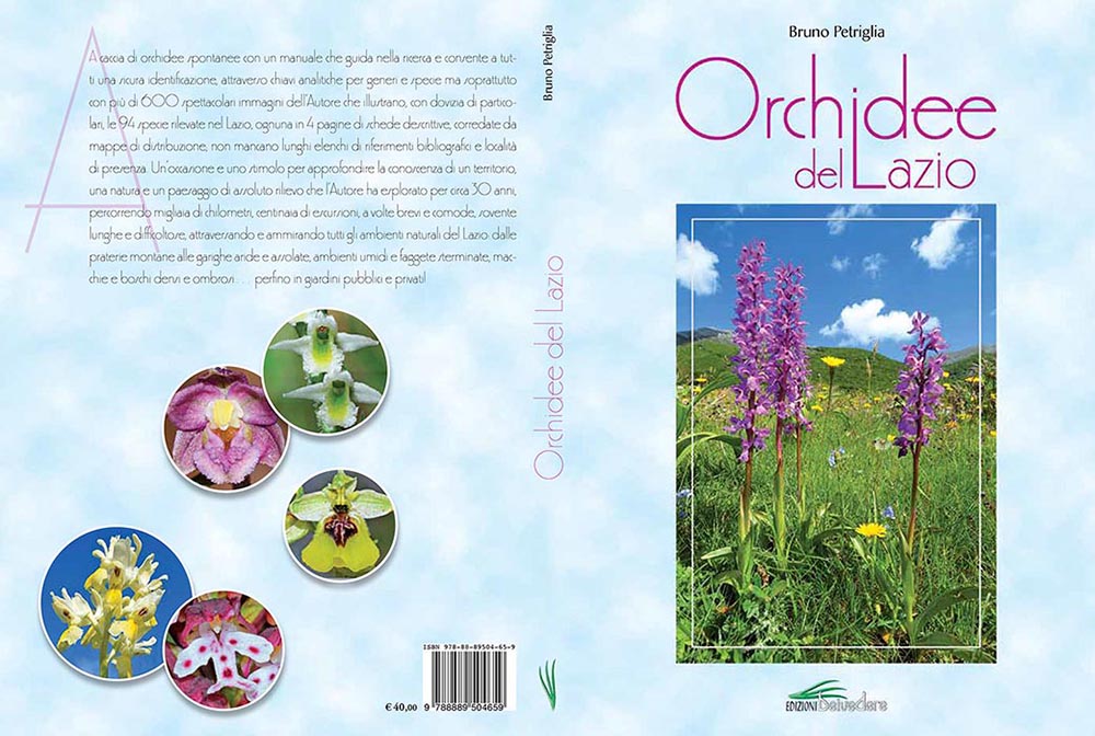 ORCHIDEE DEL LAZIO.jpg