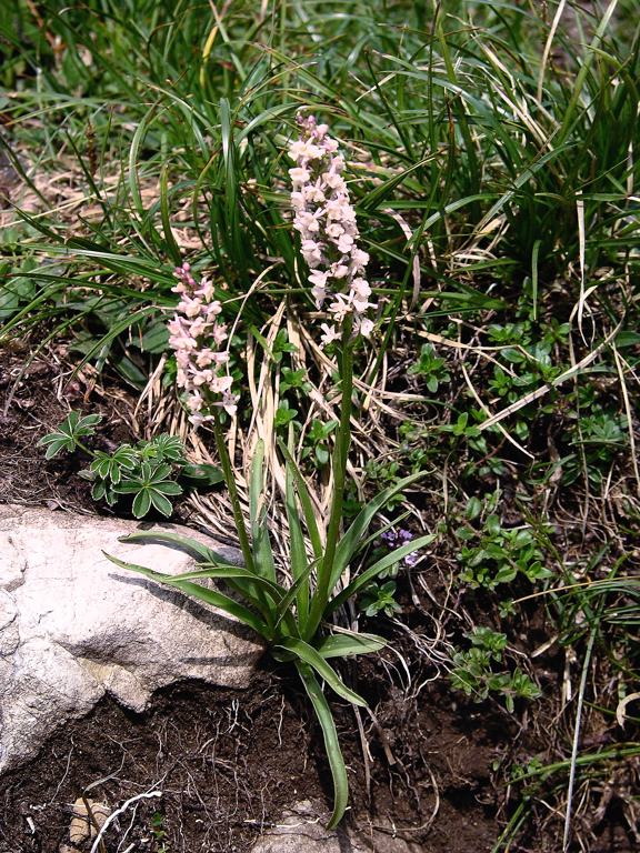 DSCN4564_1.jpg