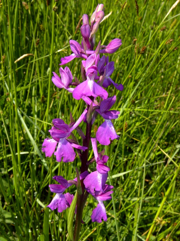 DSCN4142.JPG