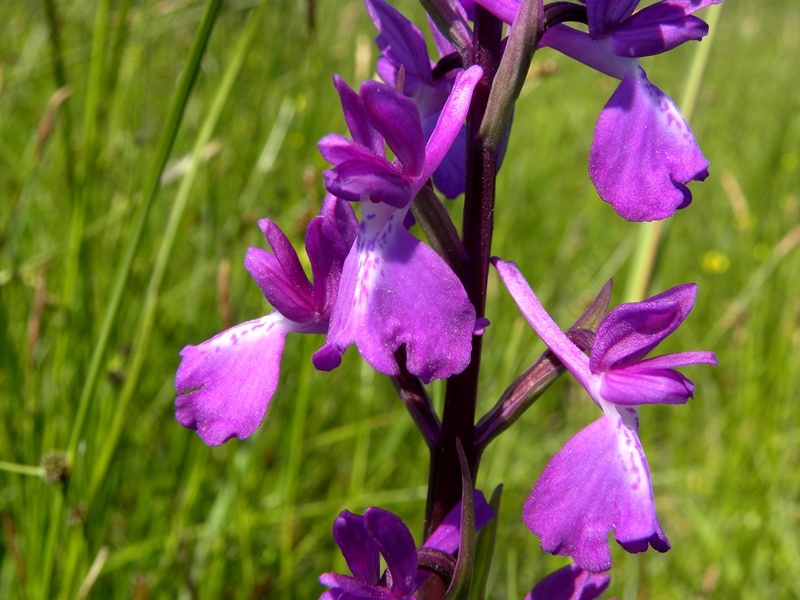 DSCN4137.JPG