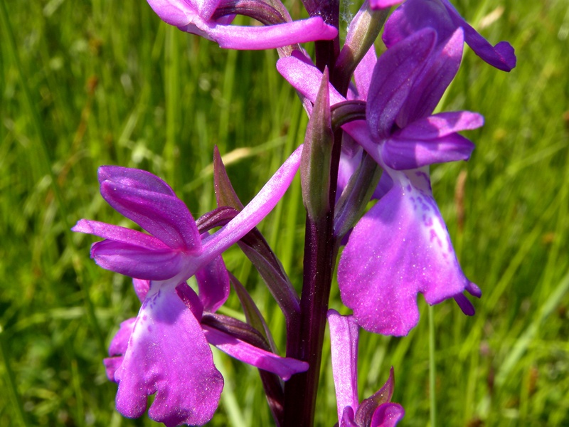 DSCN4144.JPG