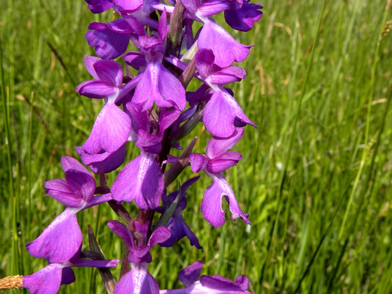 DSCN4230.JPG