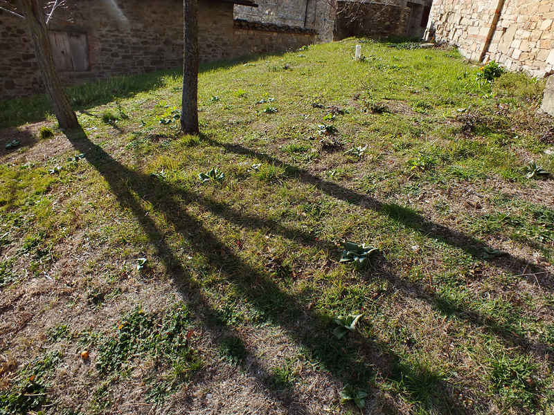 DSCF9596.jpg