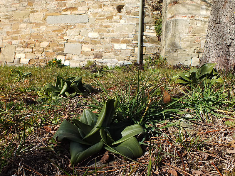 DSCF9587.jpg
